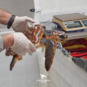 Img-Galeria_Noticia-16_02_26_xena-1080px-1