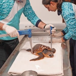 Img-Galeria_Noticia-16_02_26_xena-1080px-4